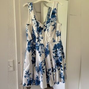 Francesca's Floral A-Line Dress